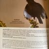 Libro "Humedal Vega castillo" - Imagen 4