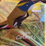 Imagen anterior del producto