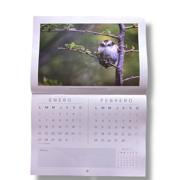 Calendario fauna de erratico - Imagen 2