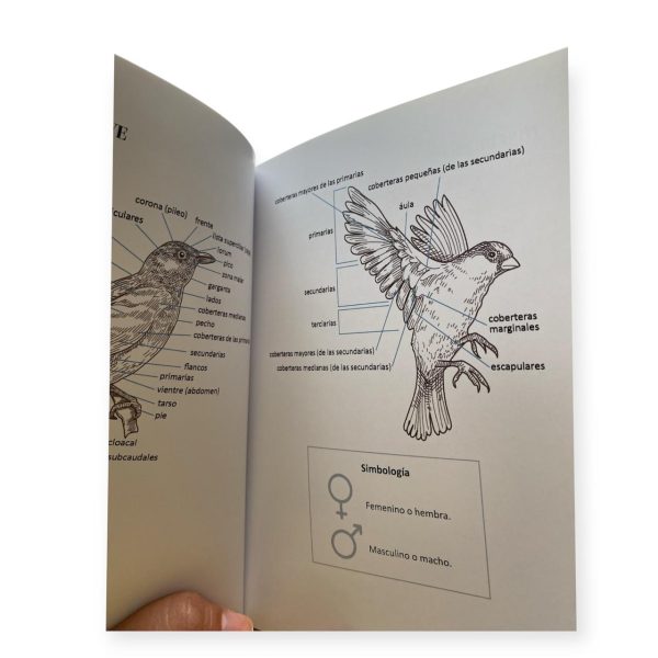 Libro Conversemos sobre aves - Imagen 2