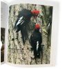 Libro "Humedal Vega castillo" - Imagen 2