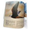 Libro "Humedal Vega castillo" - Imagen 3