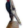 Escultura Carpintero Negro (macho) - Imagen 2