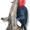 Escultura Carpintero Negro (macho) - Imagen 3