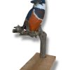 Escultura Martin pescador