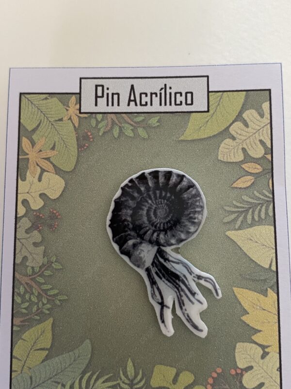 Pins acrilico - Imagen 2