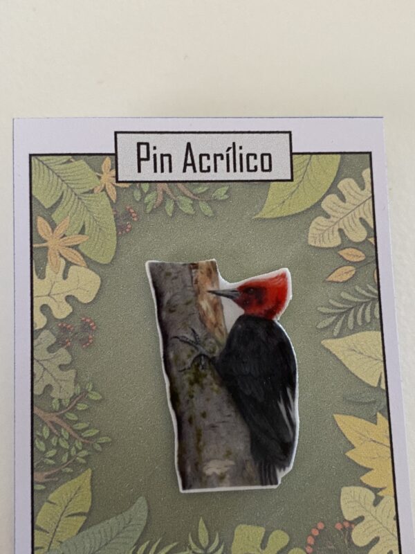 Pins acrilico - Imagen 3