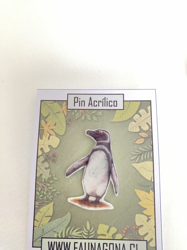 Pins acrilico - Imagen 5