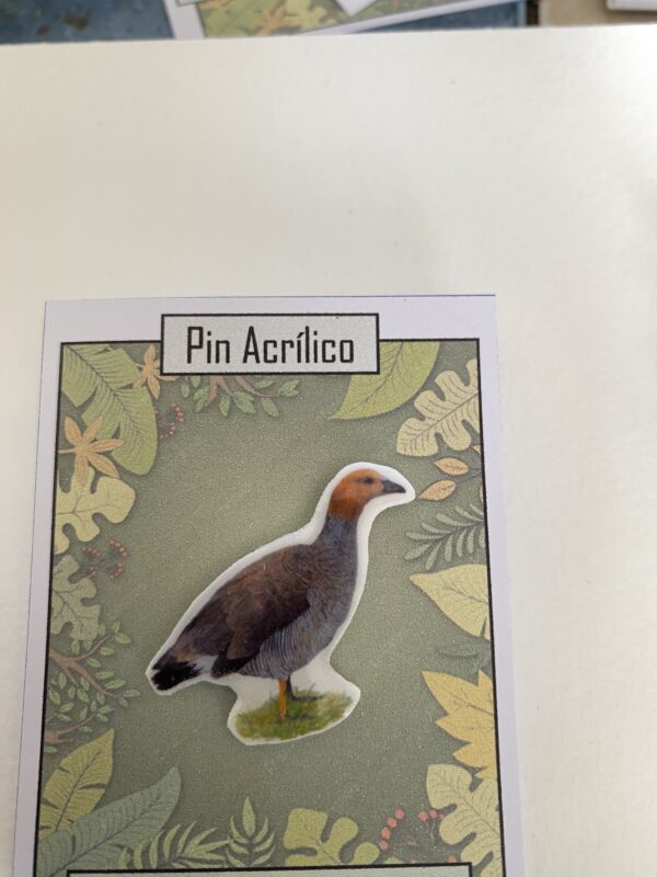 Pins acrilico - Imagen 6