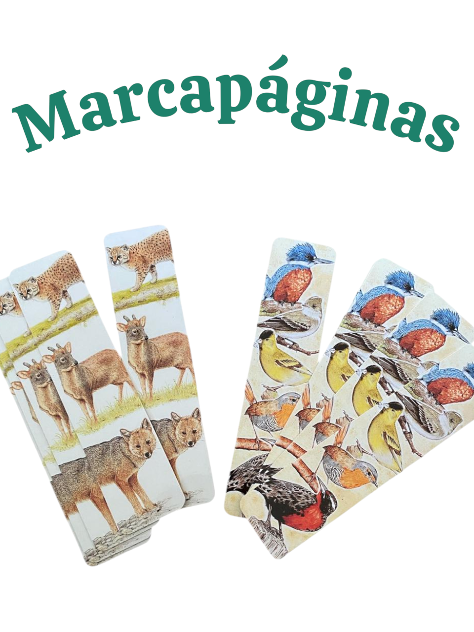 Marcapáginas